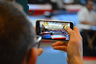 星空体育登录入口-中国篮球联赛市场细分与精准营销研究，全国篮球联赛优势