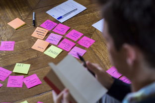 星空体育登录入口-体育公益项目社会影响力研究，关于体育的公益项目