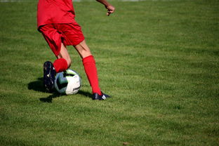 星空体育官网-意甲裁判语义分析系统在比赛判罚中的应用研究，意甲裁判名单